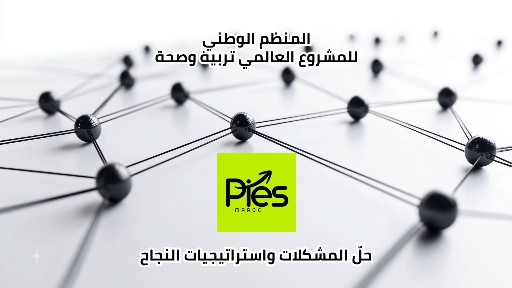 بي إس ماروك المنظم الوطني للمشروع العالمي تربية وصحة -حلّ المشكلات واستراتيجيات النجاح